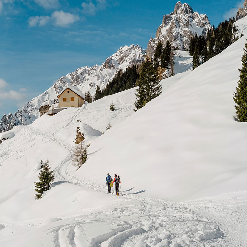 Ciaspolate tra boschi innevati sulle Dolomiti